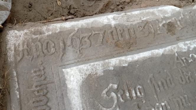 W Parku Jonstona w Lesznie odkryto grób z XVII wieku