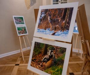 Wystawa fotografii przyrodniczej w Koźminku