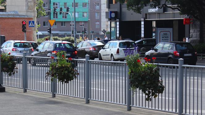 Kwietniki na przystanku tramwajowym na Bramie Portowej