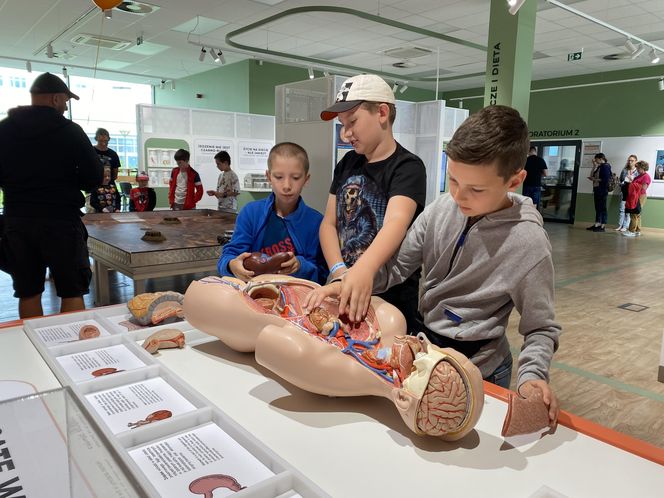 Słoneczny początek wakacji w Olsztynie! Eska Summer City w Kortosferze
