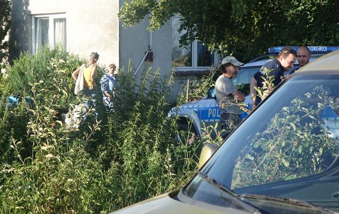 Martwe i wygłodzone zwierzęta pod Sannikami! Do tego broń z ostrą amunicją! Co tam się działo?!