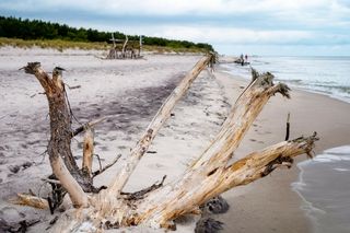 Październik nad morzem? W tych miejscowościach złota polska jesień wygląda najpiękniej
