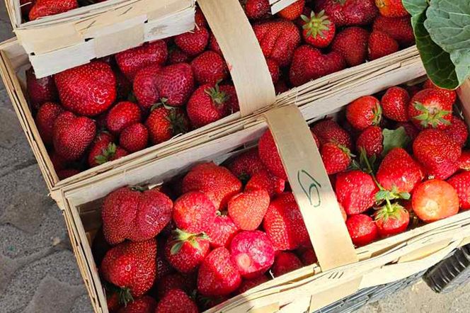 Ceny truskawek na podkarpackiem bazarku