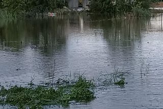 Powódź w Jawiszowicach