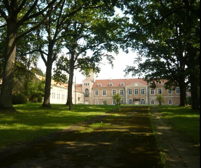 Chcą uratować zabytkowy pałac w powiecie ostródzkim. Potrzebna jest gigantyczna suma pieniędzy [ZDJĘCIA]