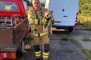 Dwa psy wpadły do dwóch studni. Policjanci i strażacy z Susza ruszyli na ratunek!