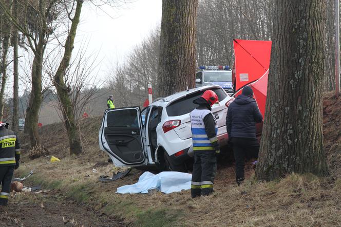 JECHALI DO KURORTU, TRAFILI NA DRZEWO