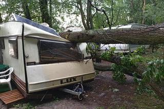 O krok od tragedii nad lubuskim jeziorem. Drzewo spadło na przyczepę campingową. Cud!