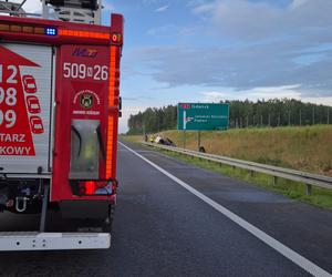 Śmiertelny wypadek na S7! Dwóch mężczyzn nie żyje. Bus huknął w bariery i wpadł do rowu [ZDJĘCIA]