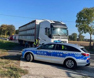 Śmiertelny wypadek pod Gnieznem! Kobieta zginęła pod kołami ciężarówki