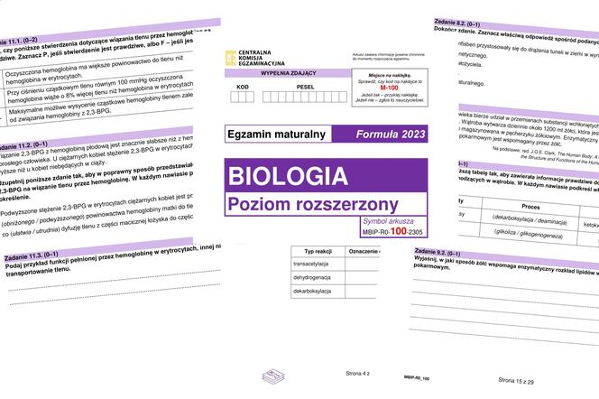 Matura 2024: biologia formuła 2023. Odpowiedzi i arkusz CKE do pobrania [NOWA FORMUŁA 14.05.2024]