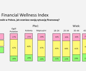 Badanie: co trzeci Polak w słabej kondycji finansowej, oszczędza tylko 34% społeczeństwa