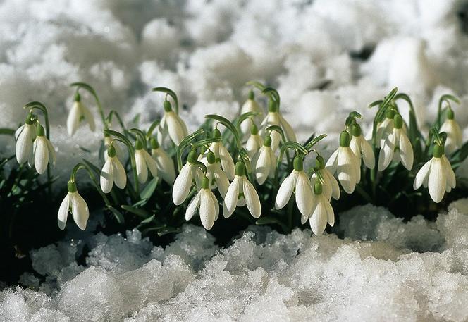 Pogoda na weekend 2-3 lutego. Wiosna zawita do Polski! Gdzie będzie ciepło? 