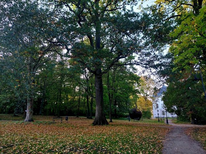 Sowa nieźle się pieni i dobrze pachnie. Nowe pamiątki z Ostromecka się podobają, ale ludzie chcą magnesu z Grubym