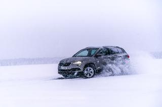 Skoda Karoq STYLE 2.0 TDI 150 KM DSG 4x4