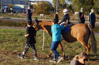 Piknik Wiejskiej Żywności w Fordonie [ZDJĘCIA]