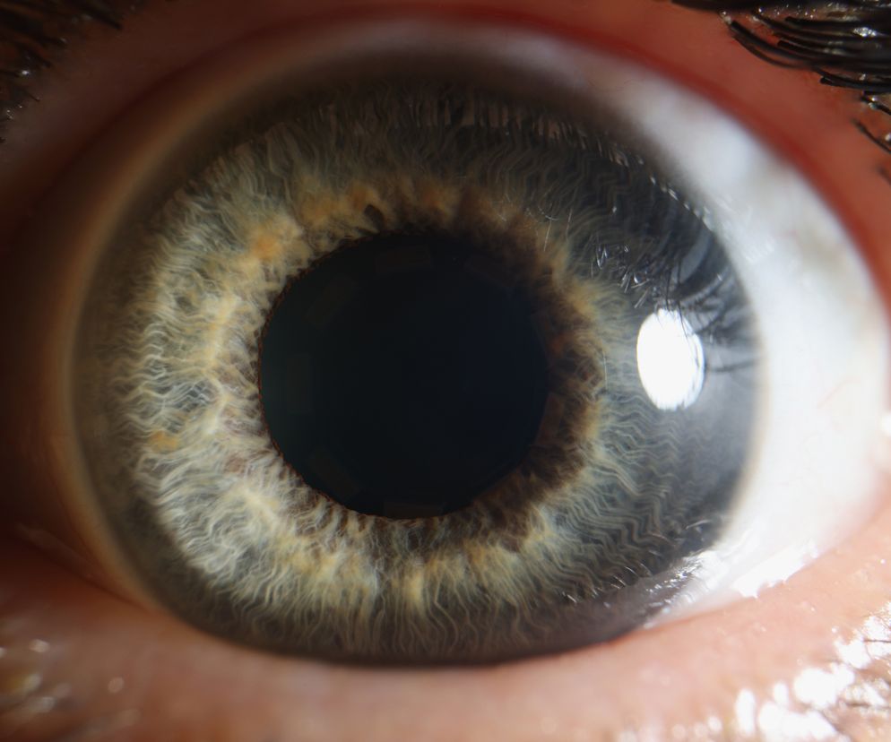 Nowe ustalenia w sprawie ayahuaski. Wiadomo, skąd biorą się efekty uboczne ceremonii