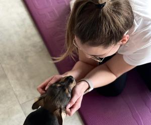 Puppy Yoga