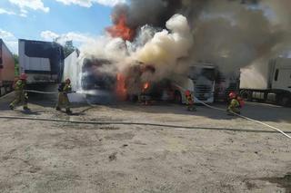 Pożar pod Wołominem. Wielki dym zaczął buchać z tira, kłęby dymu wystrzeliły w górę