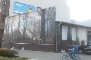 Leśny mural we Wrocławiu