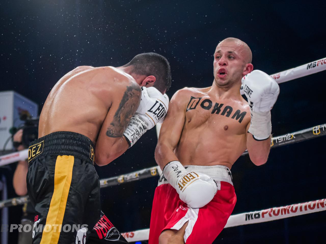 Zwycięstwa w rytmie latino. Faworyci nie zawiedli na gali MB Boxing Night 10 [WIDEO]