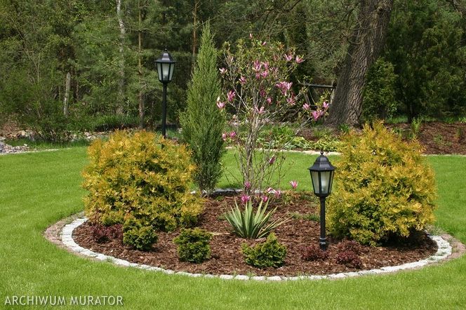 Poradnik urządzania ogrodu. Cenne wskazówki dla zakładających ogród