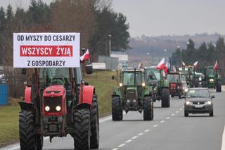 Rolnicy nie ustają w protestach, GDDKiA ostrzega. Poważne utrudnienia na drodze ekspresowej S3