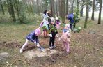 Dębowy Elektryczny Las został zasadzony nad Siedleckim zalewem w ramach programu Polska Stolica Recyklingu