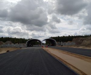 Budowa odcinka S19 Haćki-Bielsk Podlaski