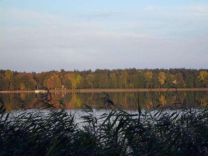 Wikno, Jezioro Omulew