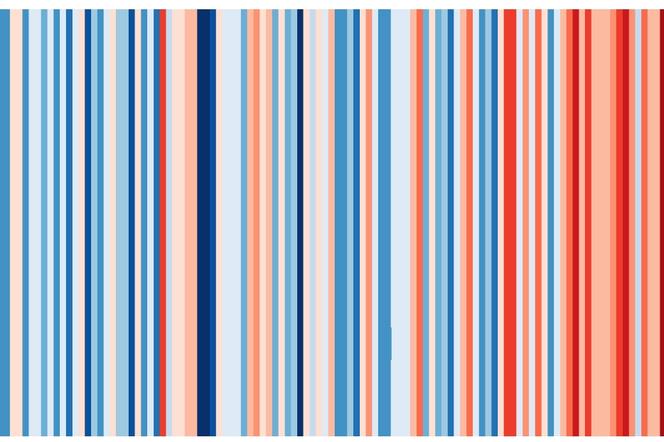 Akcja #ShowYourStripes: Nie zgadniesz, co przedstawiają te paski! 