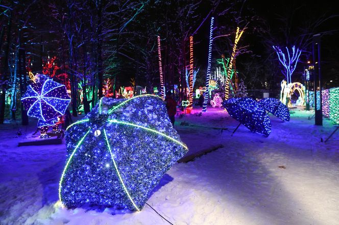 Park Miliona Świateł 2024 w Zakopanem