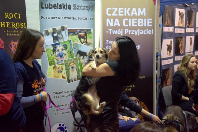 ZOOPARK 2019 w Lublinie. Wystawa pełna niezwykłości. Zobacz zdjęcia!