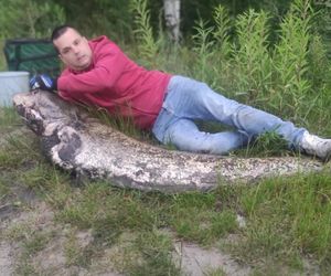 Wyłowił suma wielkości człowieka! Niecodzienny połów pana Rafała