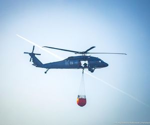 Pożar w Biebrzański Parku Narodowym