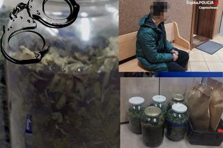23-latek trzymał w domu 7,5 kg marihuany, Mówił, że robi z niej nalewkę