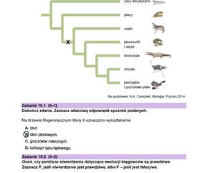 Matura 2024: biologia. Arkusze CKE i odpowiedzi. Poziom rozszerzony [Formuła 2023]