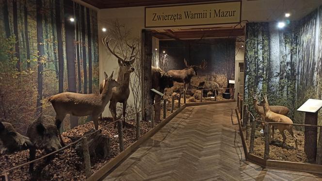 Muzeum Przyrody w Olsztynie
