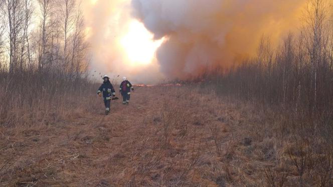 Biebrzański Park Narodowy: Tak płonie natura. Wstrząsające zdjęcia