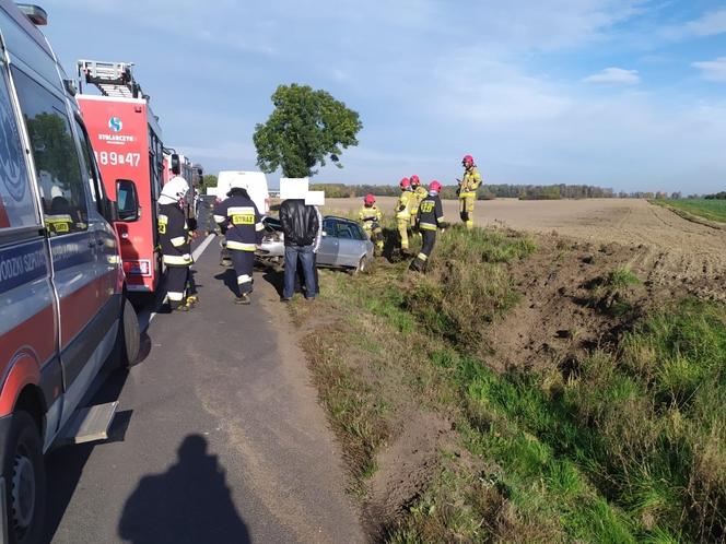 Wypadek na drodze wojewódzkiej pod Lesznem. Jedna osoba trafiła do szpitala
