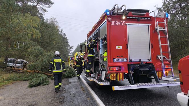 45-latek wjechał wprost pod nadjeżdżającą ciężarówkę! Tragedia w Bydgoszczy 