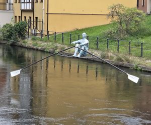 Rzeźby i pomniki, które tworzą Bydgoszcz. Poznaj symbole miasta