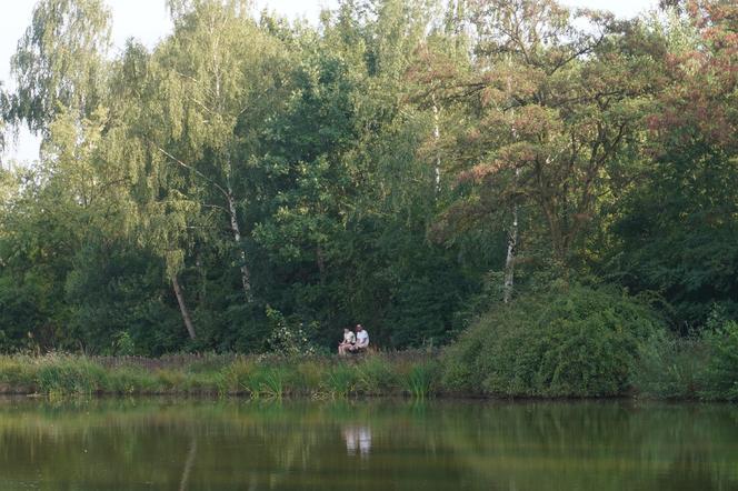 Park Leśny Tetmajera w Bronowicach