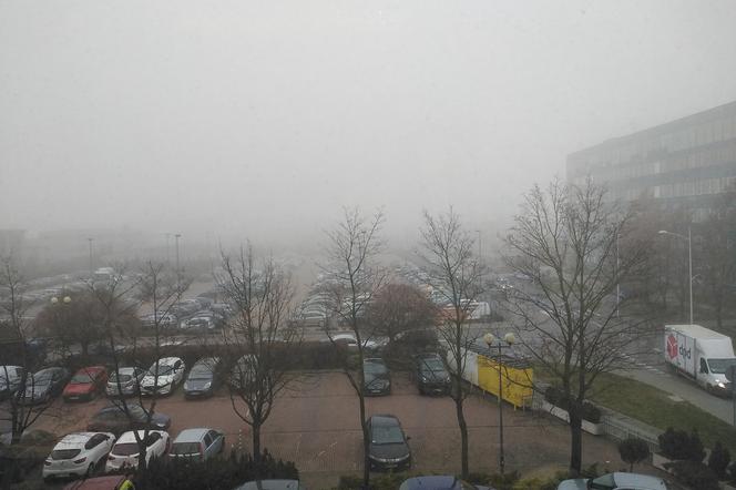 Na IMGW nic nie ma, ale sami (nie) widzicie! Gęsta mgła nad Płockiem!