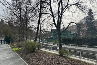 Krynica-Zdrój znów tętni życiem. Uzdrowisko przeżywa drugą młodość 