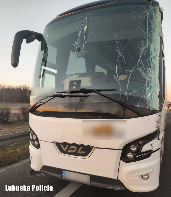 Pijany kierowca autobusu wiózł pasażerów