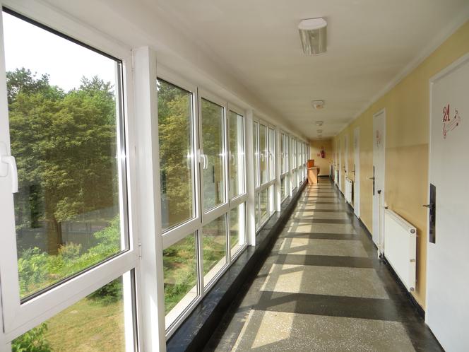 METAMORFOZA SZKÓŁ ARTYSTYCZNYCH