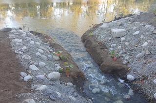 Wyremontowany Park Grabek w Czeladzi