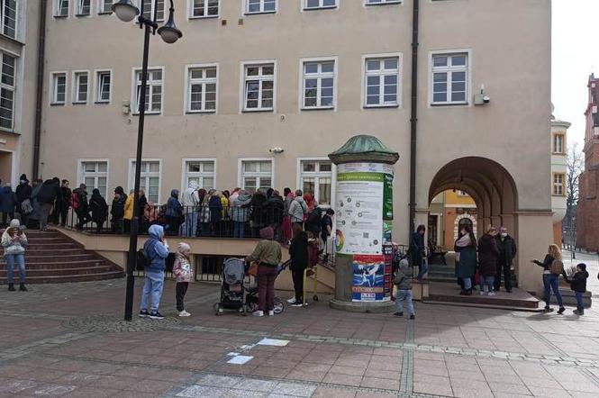 Opole: Urzędy zatkane. Terminy na maj