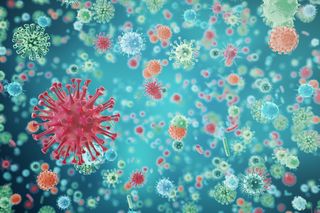 MERS (Middle East Respiratory Syndrome)